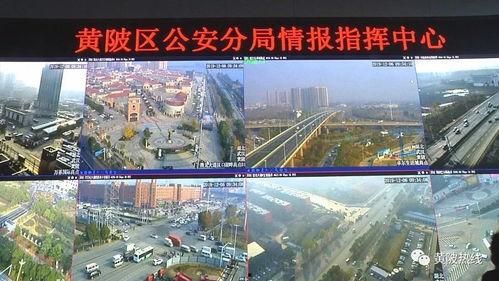 日韩区一区二区视频在线,精彩内容一网打尽